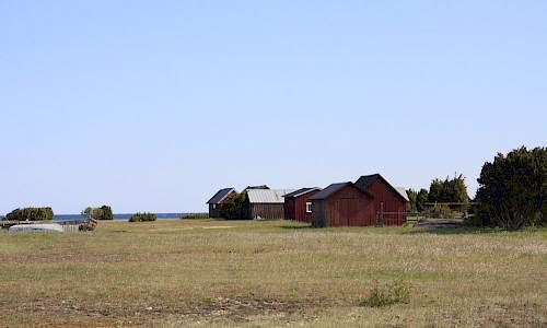 Foto: Stefan Svenaeus 2016