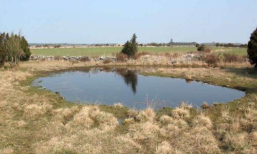 Foto: Stefan Svenaeus