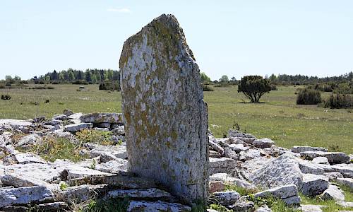 Foto: Stefan Svenaeus 2015