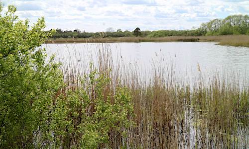 Foto: Stefan Svenaeus 2020