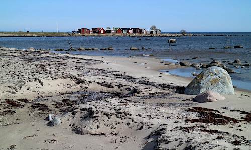 Foto: Stefan Svenaeus 2021