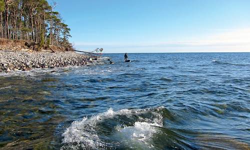 Foto: Bokförlaget SETTERN