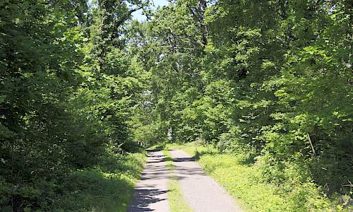 Foto: Stefan Svenaeus