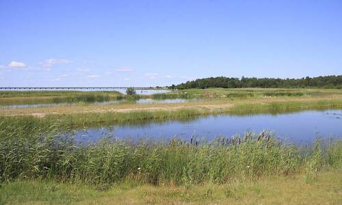 Foto: Stefan Svenaeus