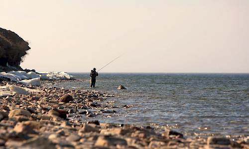 Foto: Bokförlaget Settern