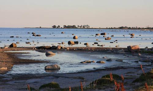 Foto: Stefan Svenaeus