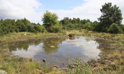 Foto: Stefan Svenaeus
