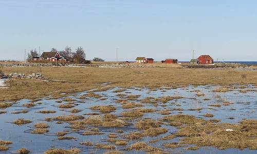 Foto: Stefan Svenaeus