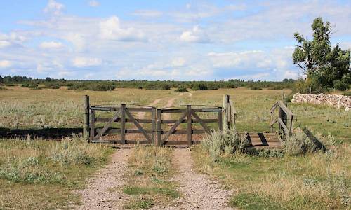 Från Skarpa Alby. Foto: Stefan Svenaeus