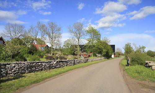 Foto: Stefan Svenaeus