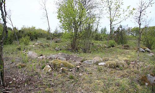 Foto: Stefan Svenaeus