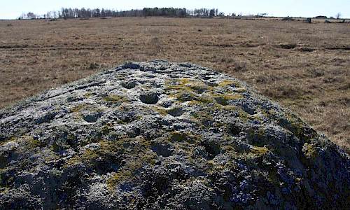 Foto: Stefan Svenaeus