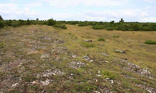 Foto: Stefan Svenaeus