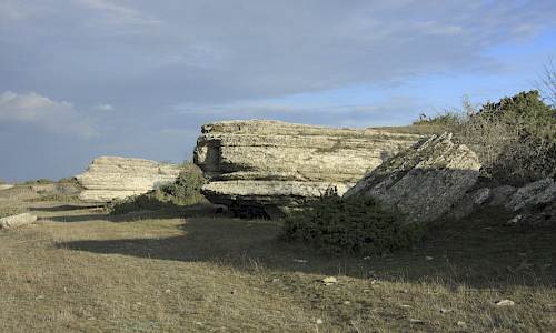 Foto: Stwefan Svenaeus