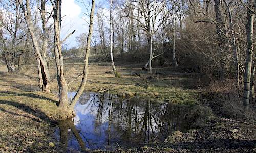 Foto: Stefan Svenaeus