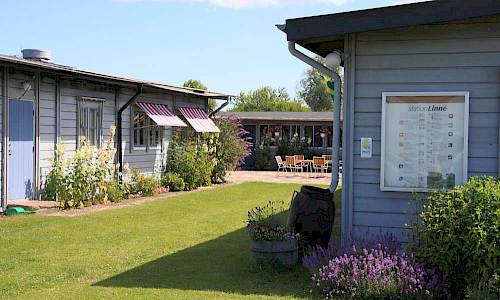 Foto: Stefan Svenaeus