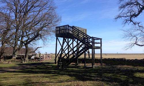 Foto: Stefan Svenaeus