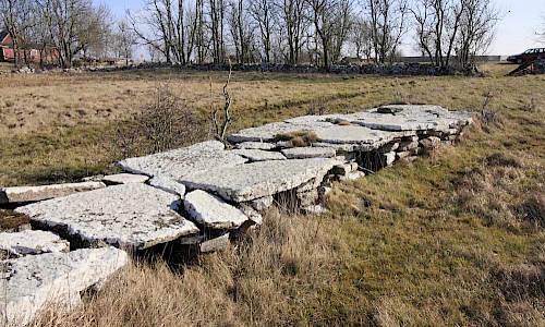 Foto: Stefan Svenaeus