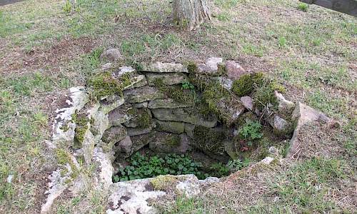 Foto: Stefan Svenaeus