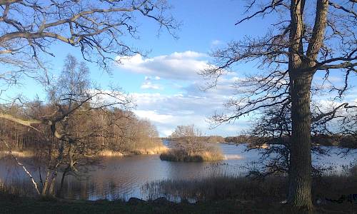 Foto: Stefan Svenaeus