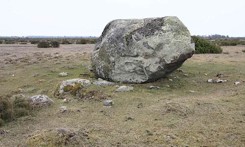 Foto: Stefan Svenaeus