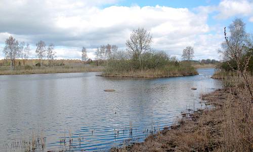 Foto: Stefan Svenaeus