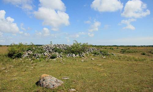Foto: Stefan Svenaeus