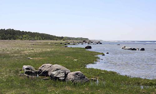 Foto: Stefan Svenaeus 2016
