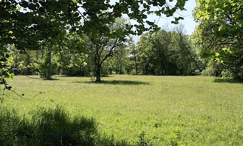 Foto: Stefan Svenaeus