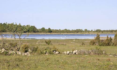 Foto: Stefan Svenaeus