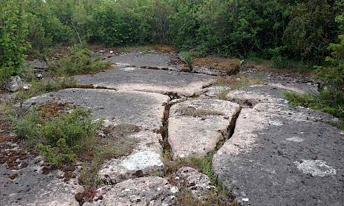 Foto: Stefan Svenaeus