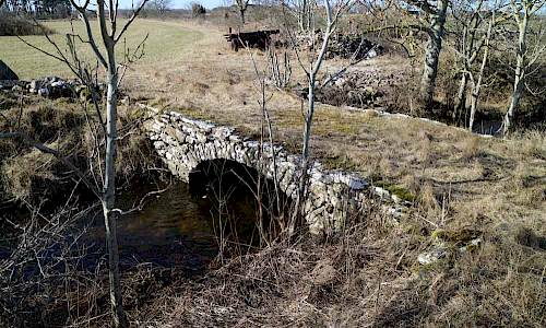 Foto: Stefan Svenaeus 2017