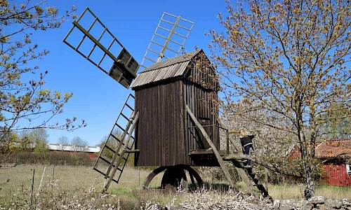 Foto: Stefan Svenaeus 2017