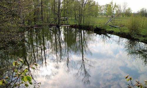 Foto: Stefan Svenaeus 2017