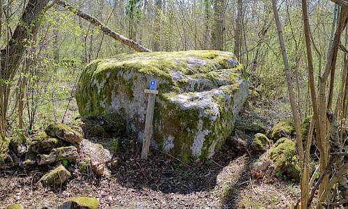 Foto: Stefan Svenaeus 2017