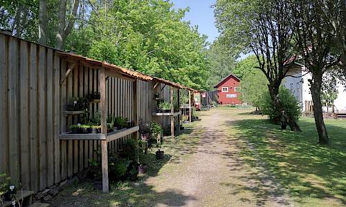 Foto: Stefan Svenaeus 2024