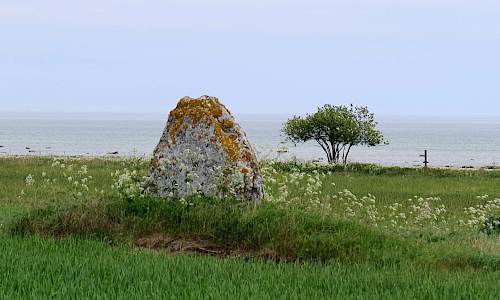 Foto: Stefan Svenaeus 2017