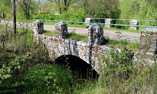 Foto: Stefan Svenaeus 2017