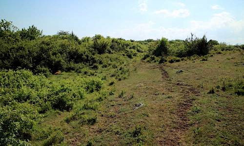 Foto: Stefan Svenaeus 2017