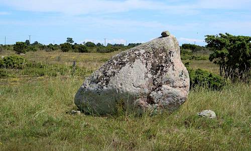 Foto: Stefan Svenaeus 2017