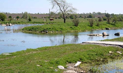 Foto: Stefan Svenaeus 2017