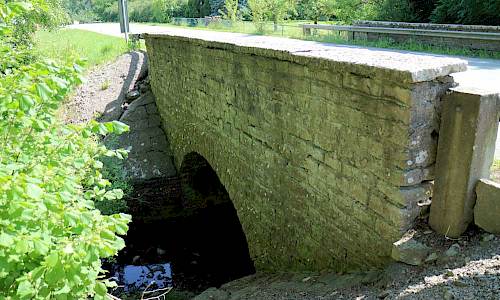Foto: Stefan Svenaeus 2017