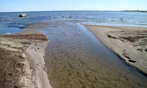 Mynningen. Foto: Stefan Svenaeus 2017