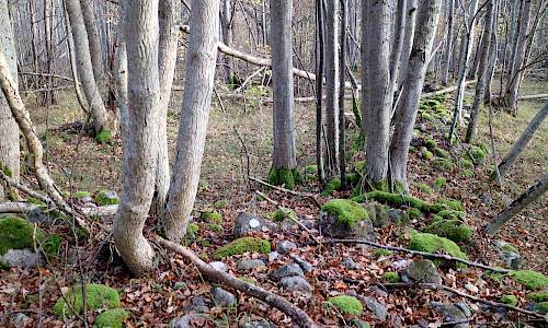 Foto: Stefan Svenaeus 2017