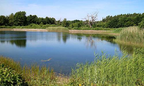 Foto: Stefan Svenaeus 2017