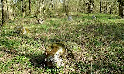 Foto: Stefan Svenaeus 2018