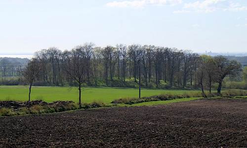 Foto: Stefan Svenaeus 2018