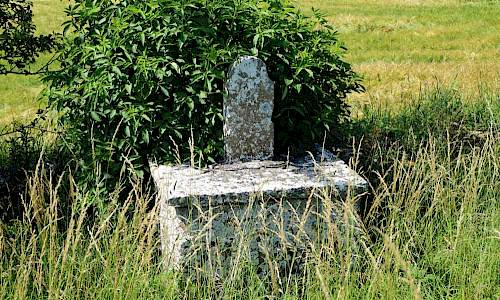 Foto: Stefan Svenaeus 2017