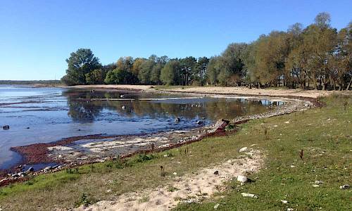 Foto: Stefan Svenaeus 2017