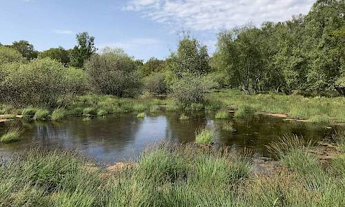 Foto: Stefan Svenaeus 2018